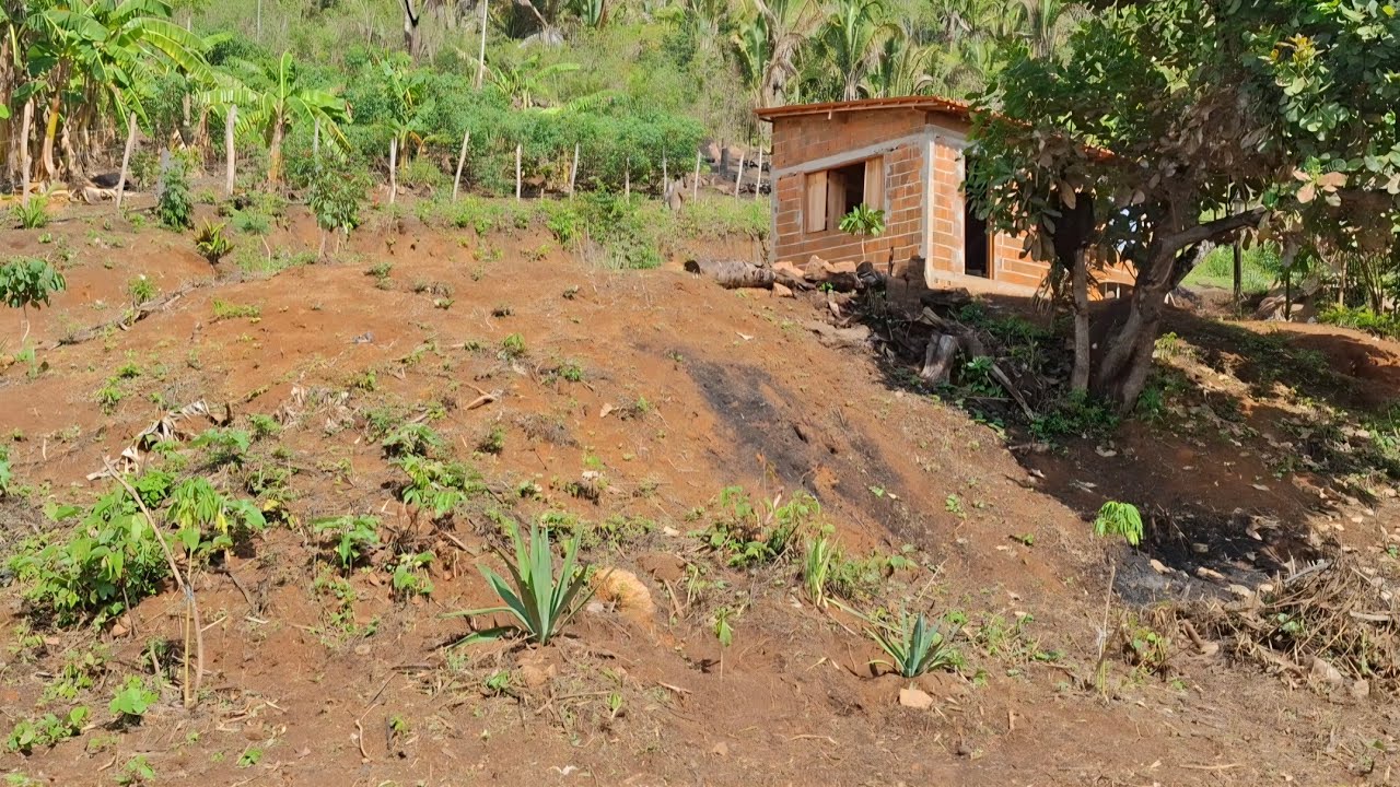 A chuva  chegou  na nossa região, que  benção 🏡🏡