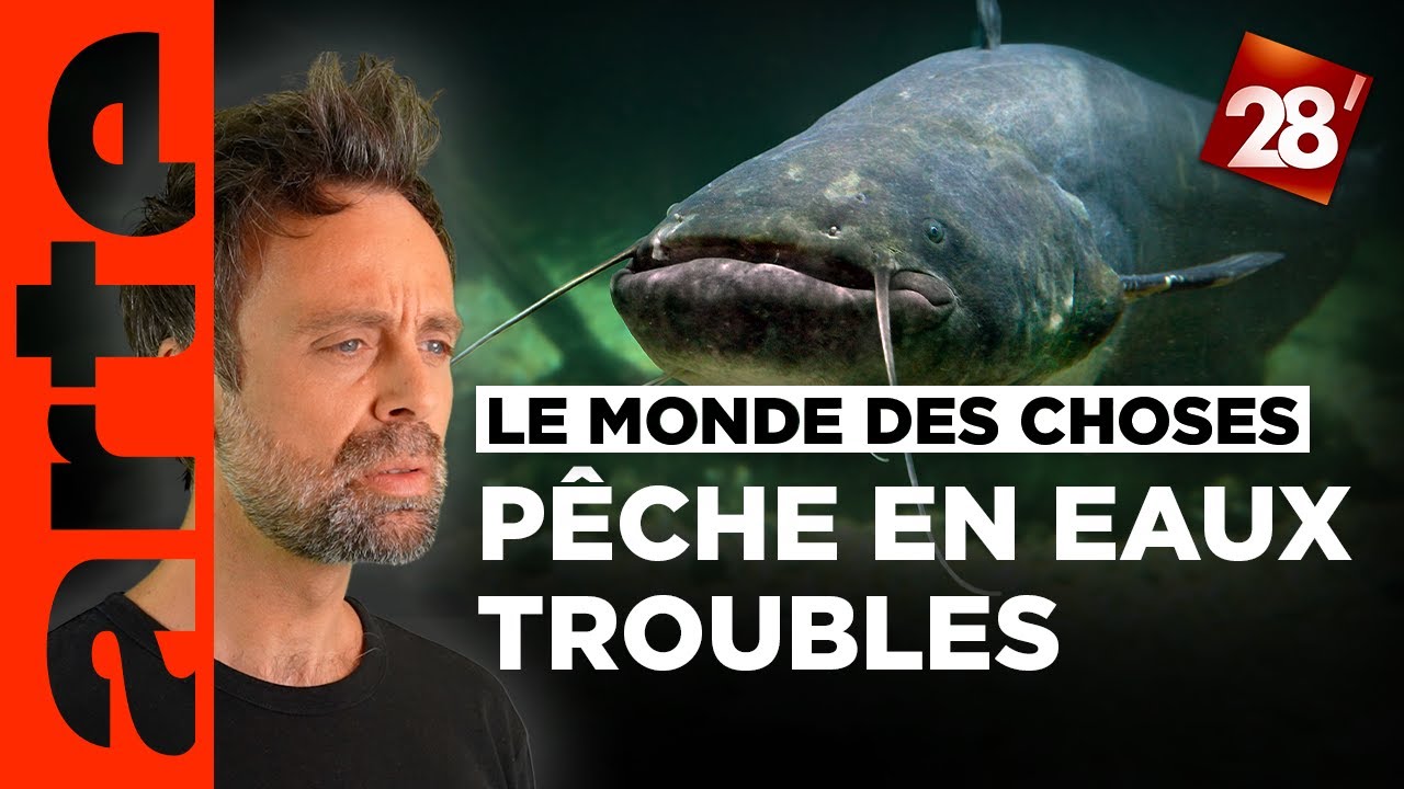 David Castello-Lopes va à la pêche aux silures dans la Seine | 28 minutes | ARTE