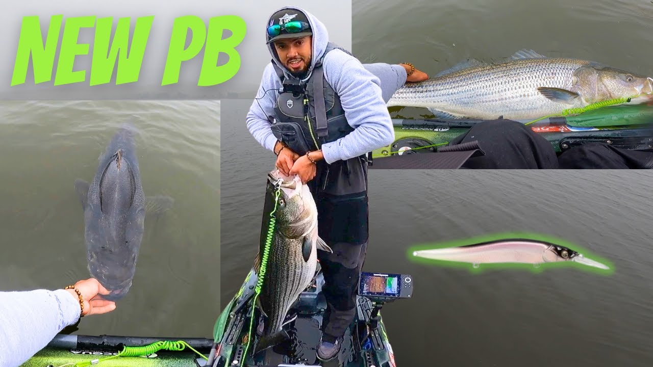 How to Catch a GIANT Striper on Bass Gear!
