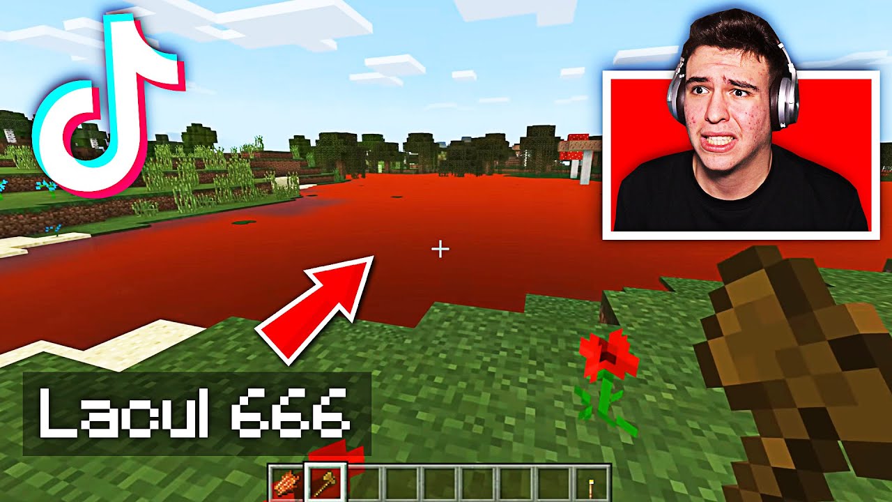 CELE MAI VIRALE TIKTOK-URI CREEPY CU MINECRAFT ! *horror*