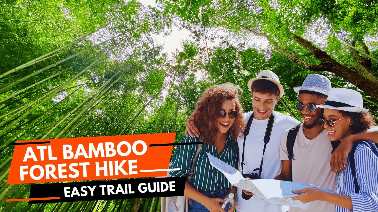 Explore Atlanta's HIDDEN GEM the BAMBOO FOREST!