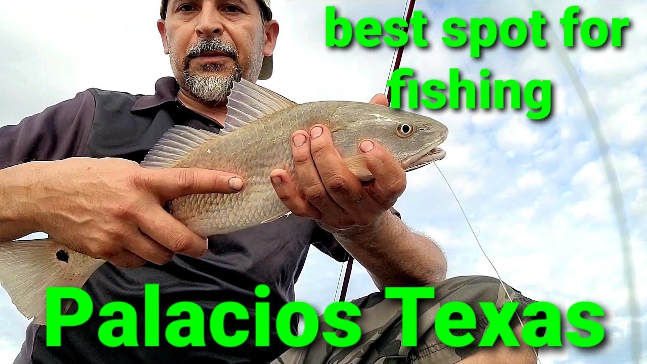 Palacios fishing excellent spot fishing