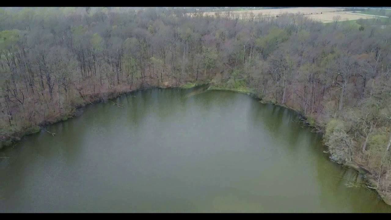 Serene Pond Scenery in Spring - Royalty Free Footage