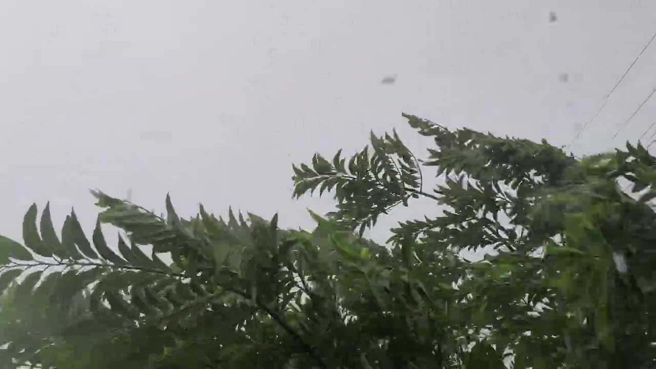 Início de Temporal muita chuva é Vendaval em Presidente Juscelino 2026