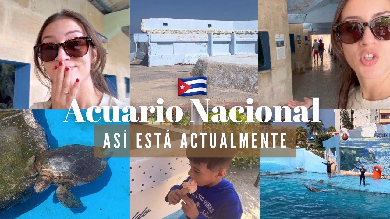 El PÉSIMO ESTADO ACTUAL del ACUARIO de CUBA 🇨🇺😱