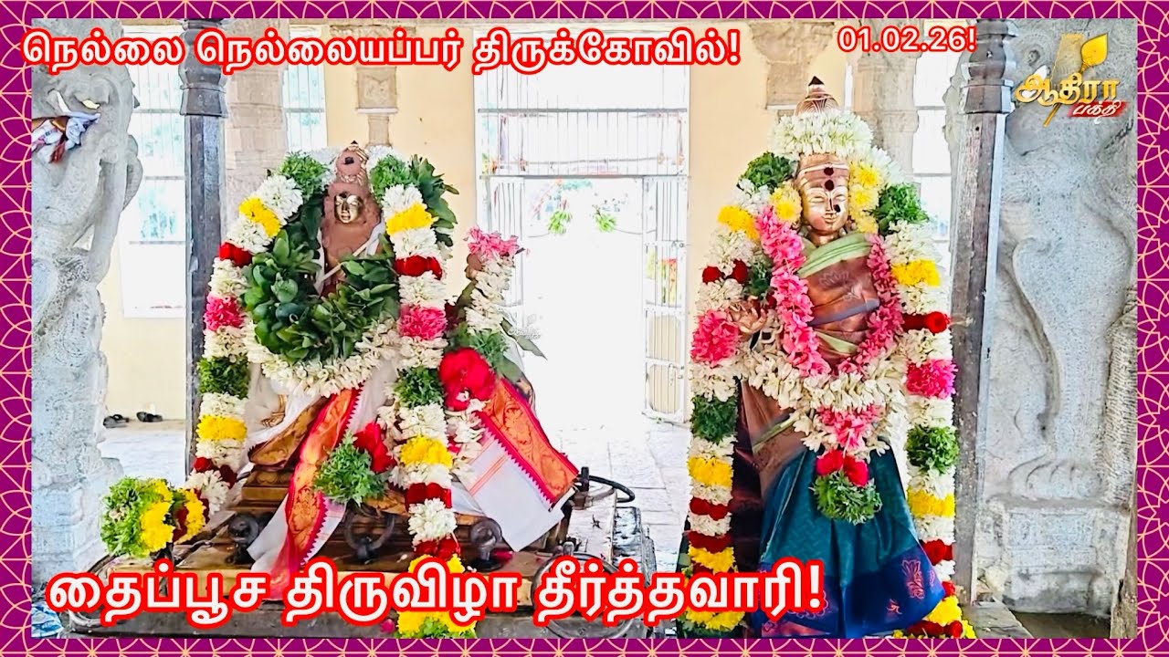 நெல்லை நெல்லையப்பர் திருக்கோவில் தைப்பூச திருவிழா தீர்த்தவாரி!01.02.26!