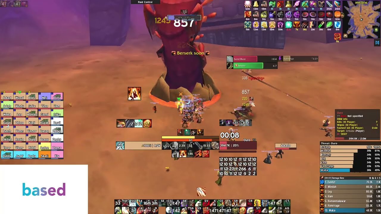 #1 World DPS Temple of Ahn'Qiraj Alliance | World of Warcraft Classic Anniversary