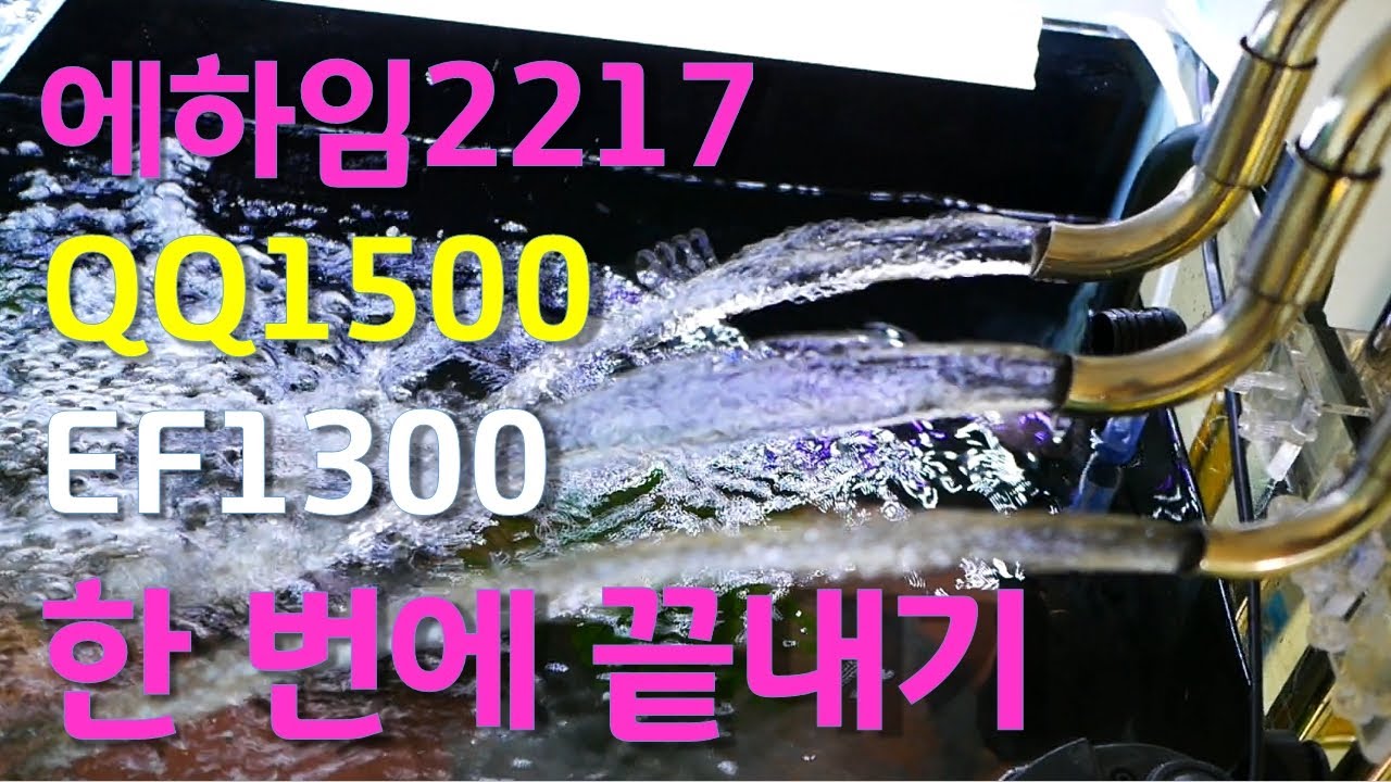 외부여과기 기종 선택이 고민이라면 꼭 보세요. 에하임 2217, QQ1500, 필그린 EF1300 세 기종 한 번에 몰아보기