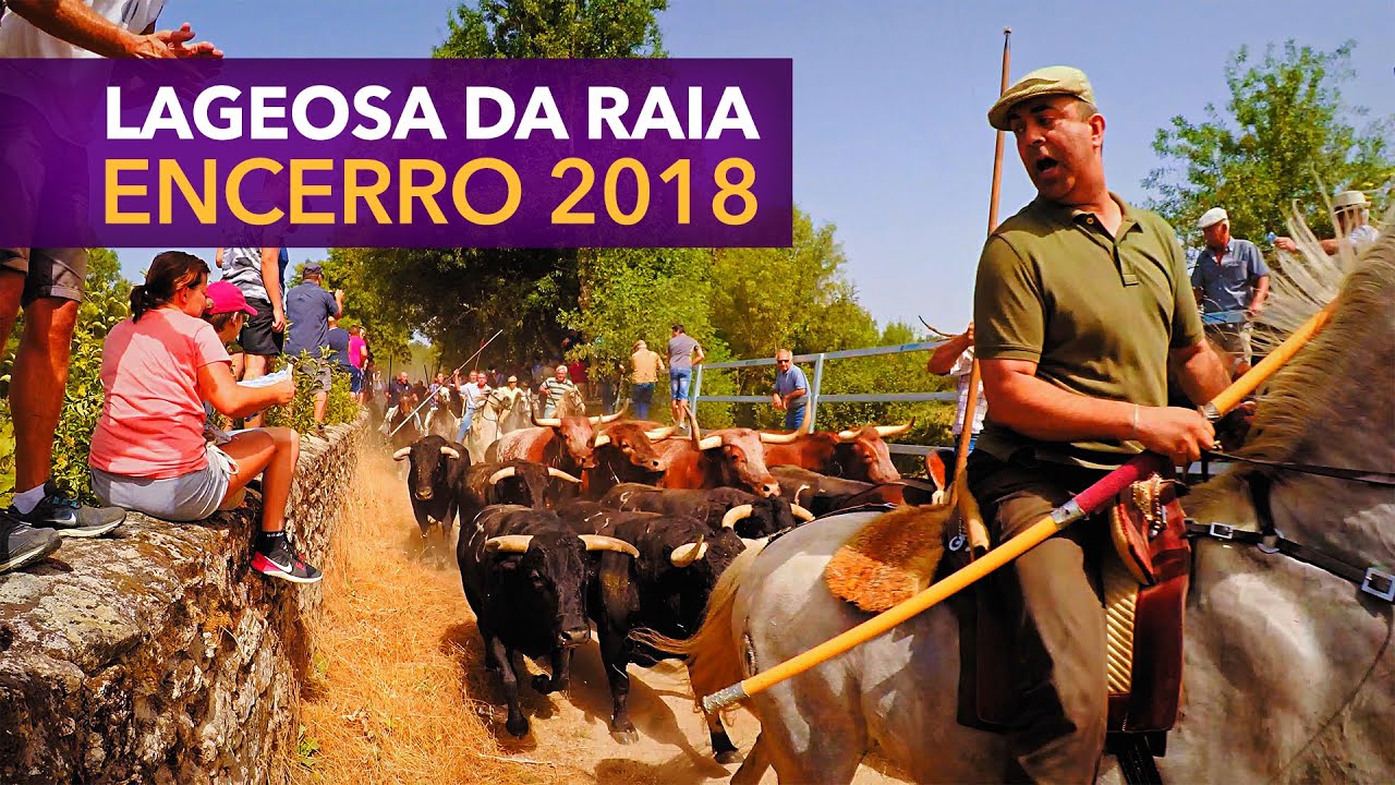 Lageosa Encerro de Toiros 2018