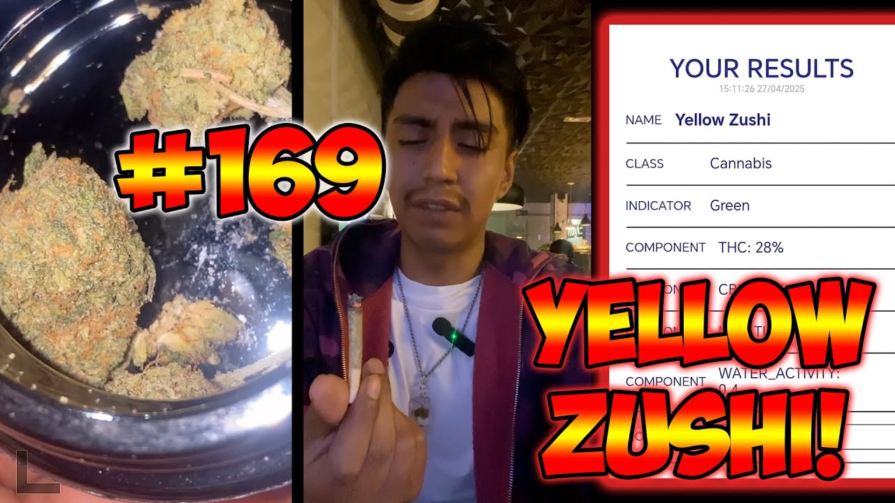 Yellow Zushi (Cali) Tenco Review #169