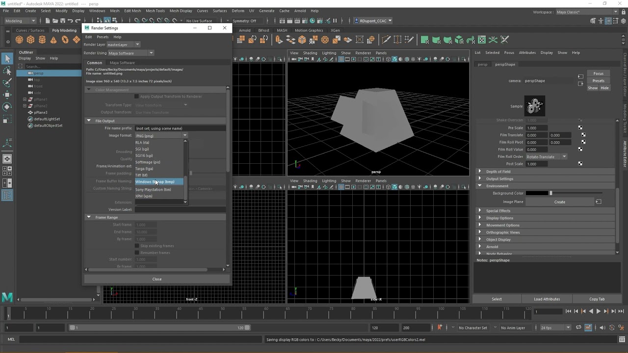 Render Process Using Maya Software Renderer - Maya 2022