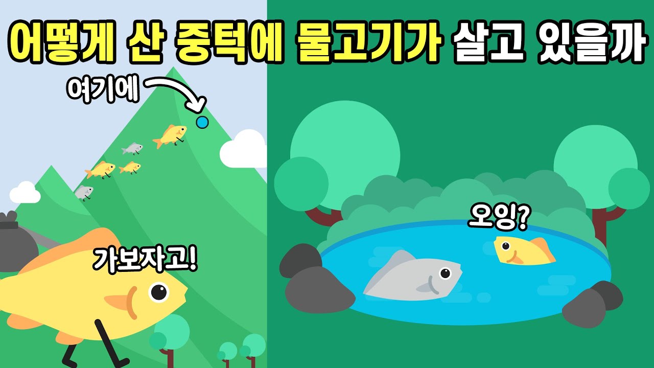 산 중턱에 있는 연못에는 어떻게 물고기가 있을까