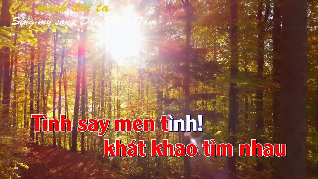 KARAOKE CHỈ MÌNH ĐÔI TA - Sing my song ĐÀO MINH TÂM