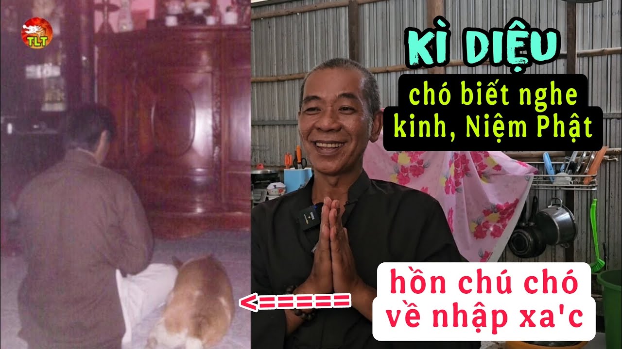 Chú chó biết Niệm Phật nghe kinh: Khi mất linh thiêng hồn về nhập xa'c người