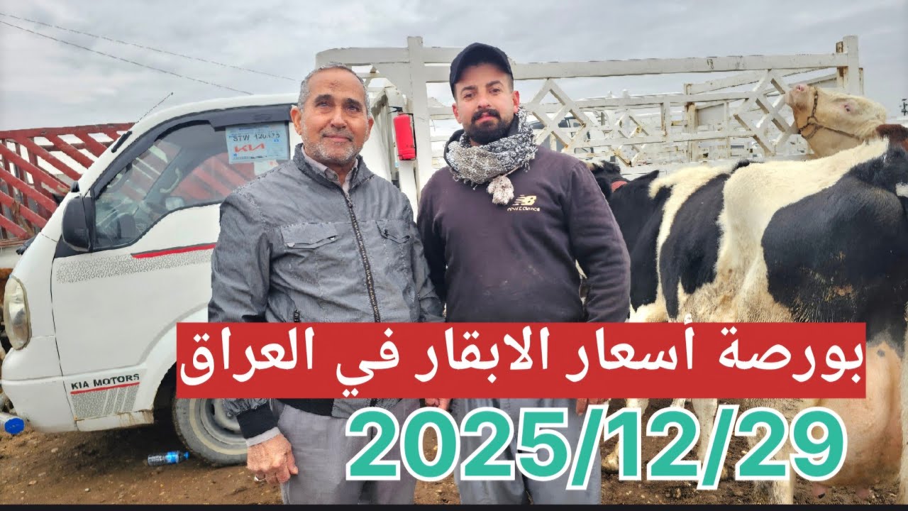 ⛈️🐄السوق في محافظة ديالى. لا مطر يوقفنا ولا برد يثنينا! 🌊💪