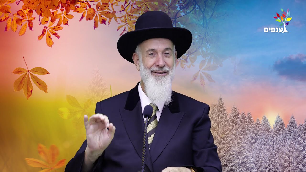 פרשת כי תבוא 2025 | הרב יונה מצגר - מדהים!
