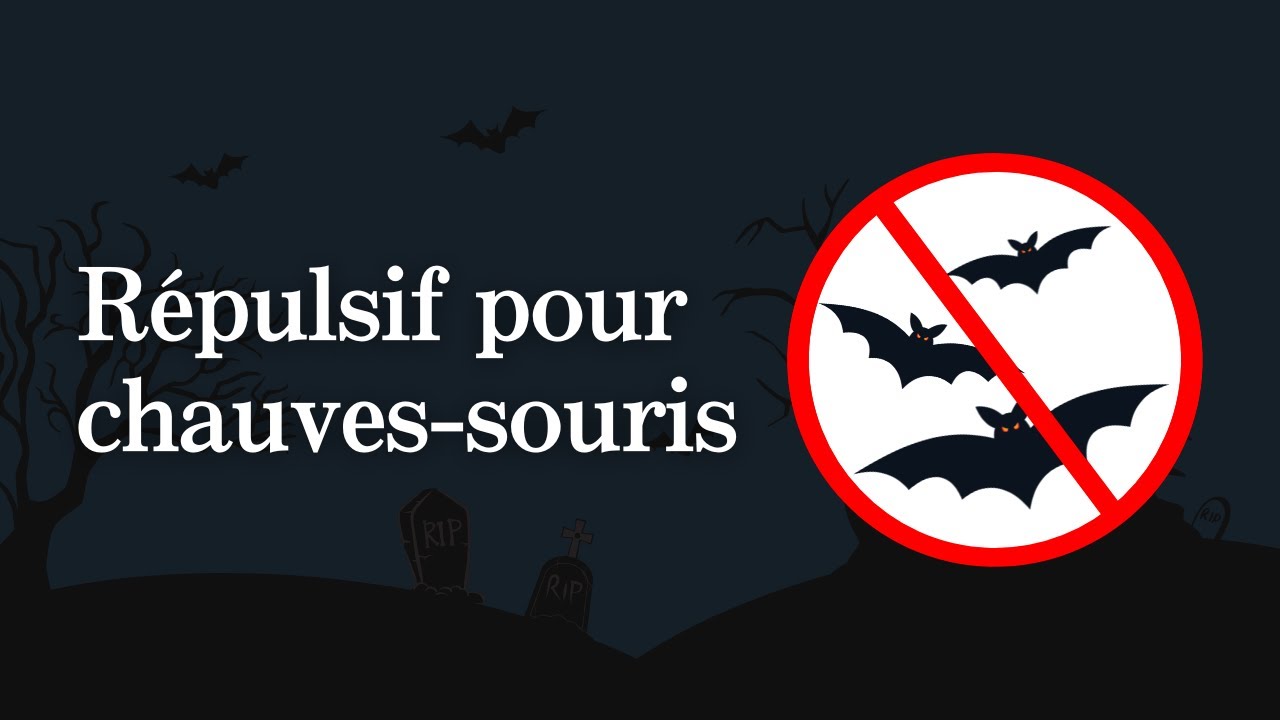 Son répulsif pour chauves-souris | Ultrasons haute fréquence