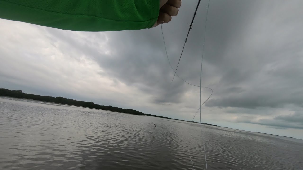 Baby tarpon fly fishing, Fin Chasers, Isla Blanca Quintana Roo