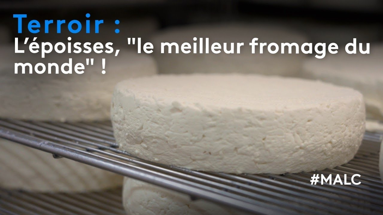 Terroir : l'époisses, 