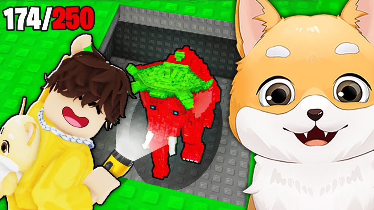Am Gasit TOTI BRAINROTII in Roblox...