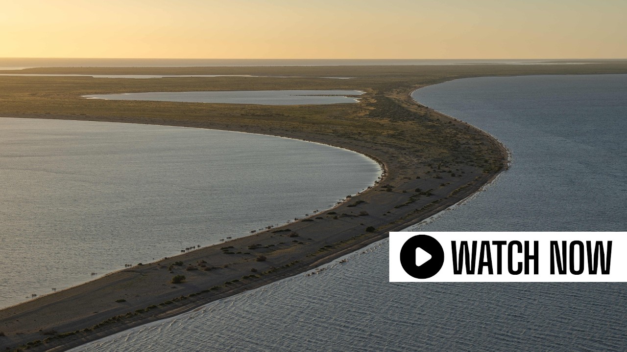 Lake Eyre fills as desert transformed by &lsquo;once-in-a-generation&rsquo; floods