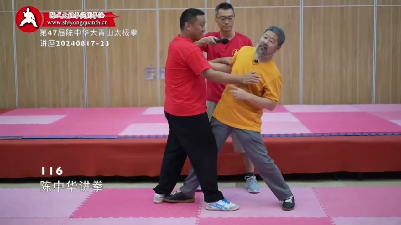 撤了也是进 116 陈中华讲拳 47届大青山讲座20240817 23