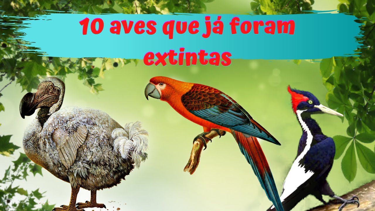10 вымерших птиц