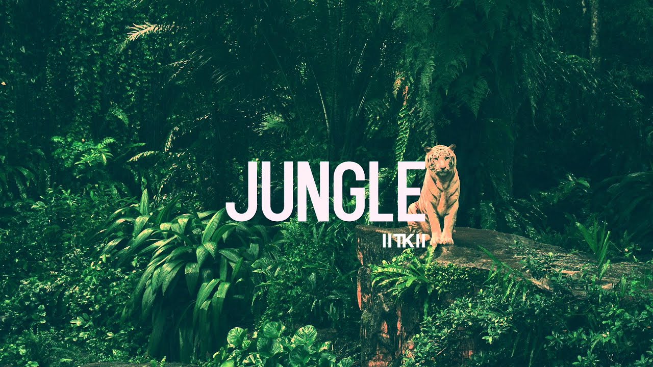 Drake Type Beat - 