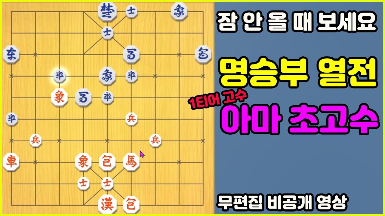 [잠 안 올 때 보세요] 프로 상급 실력의 아마추어 1티어 고수 (장기)