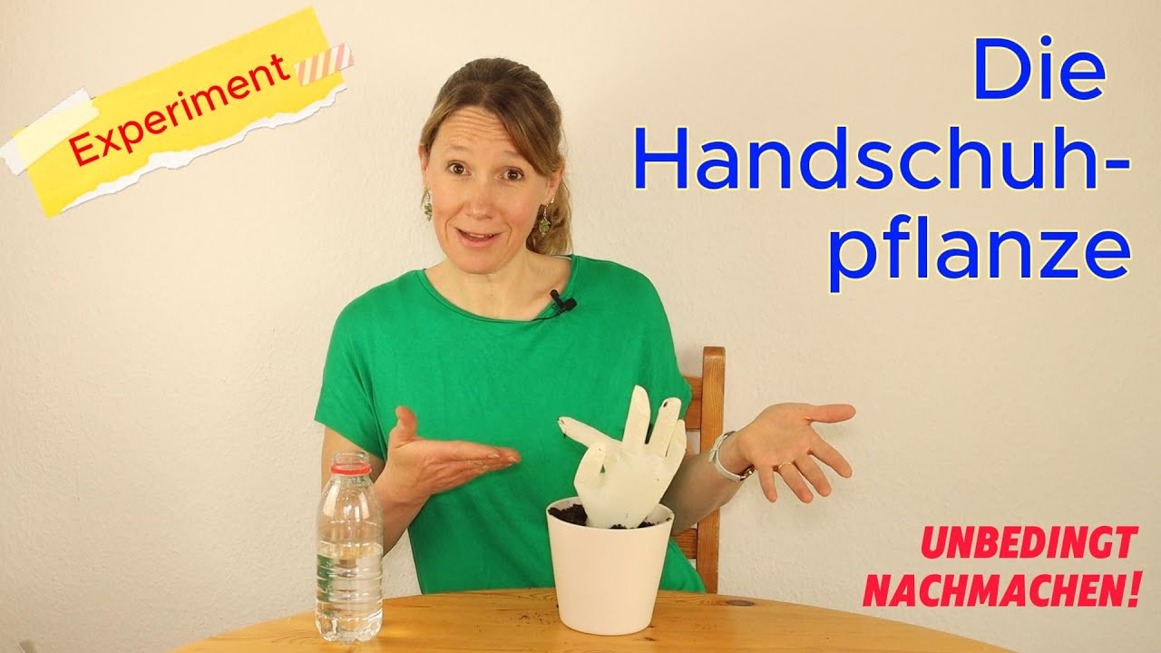 Forsche mit uns! Handschuh-Planze - ein Blubbergas-Experiment, Checky April 2024