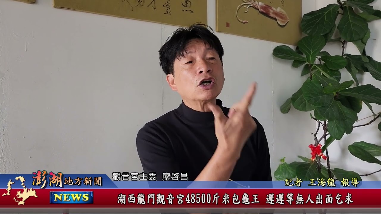 115.3.10地方新聞：湖西龍門觀音宮48500斤米包龜王 遲遲等無人出面乞求