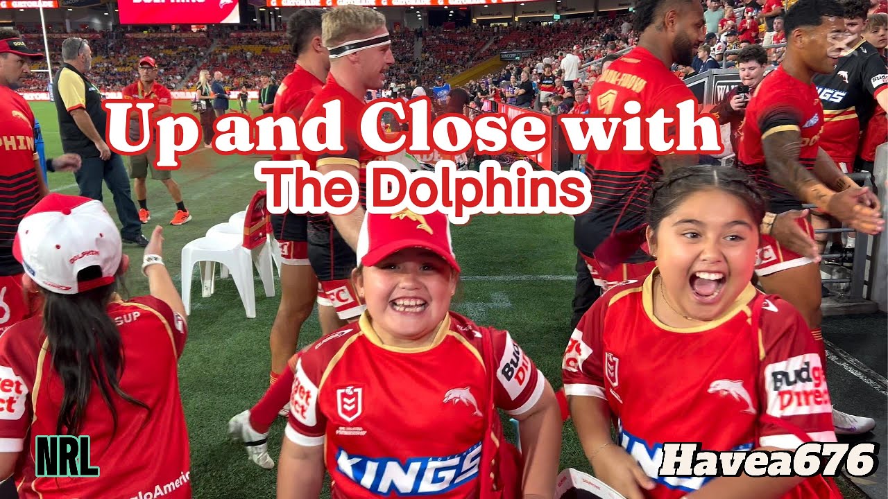 За кулисами NRL Dolphins