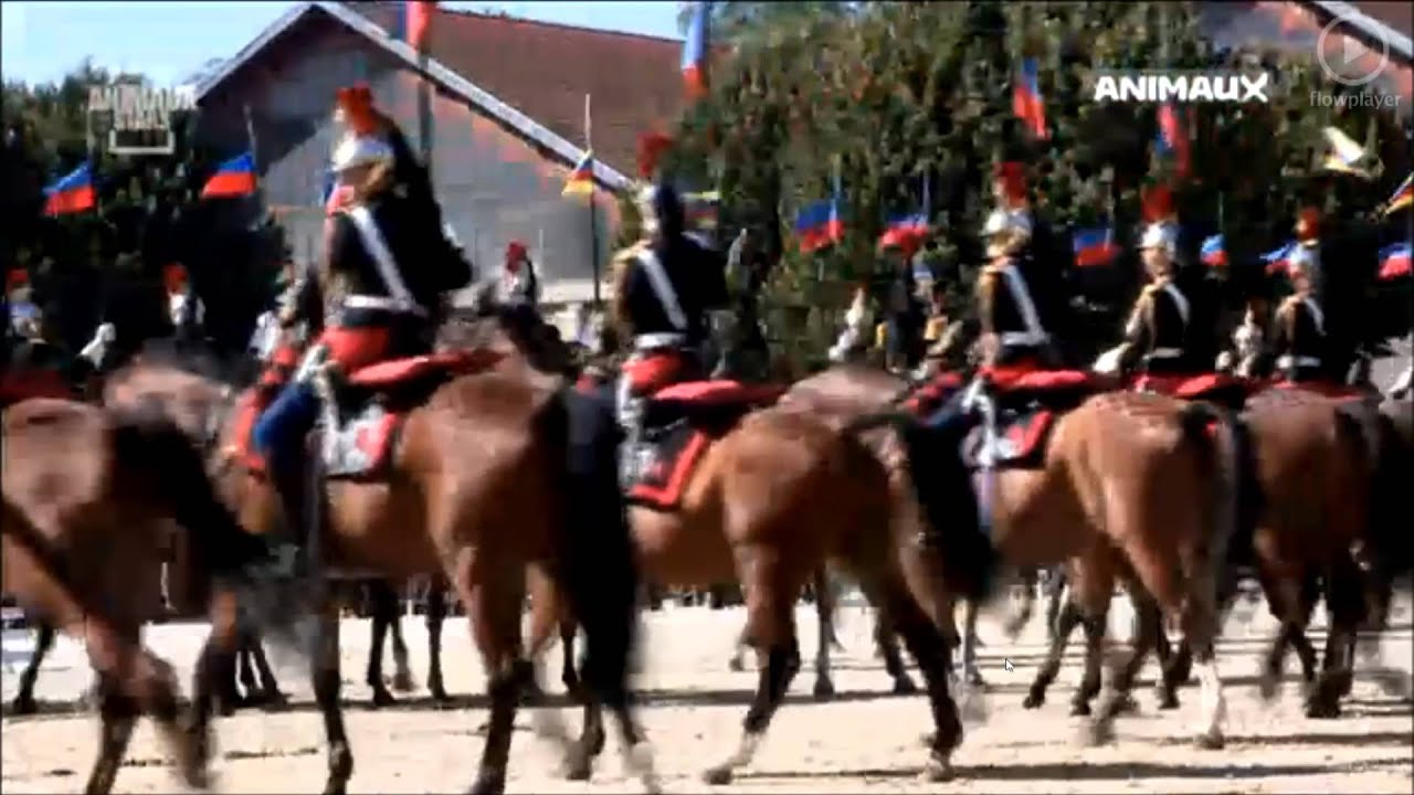 Les chevaux de la République 1/3