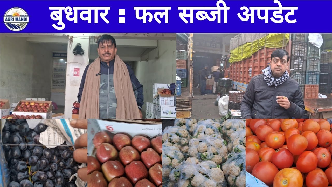 21/01/26 फल-सब्जी करनाल मंडी बुधवार थोक दाम #फल #सब्जी #थोकभाव  #farmer 