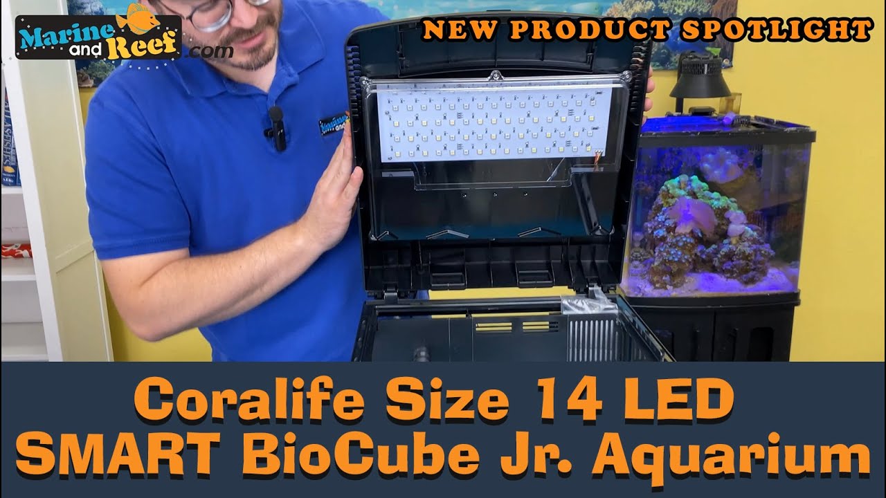 New Product Spotlight - Coralife Size 14 LED SMART BioCube Jr. Aquarium