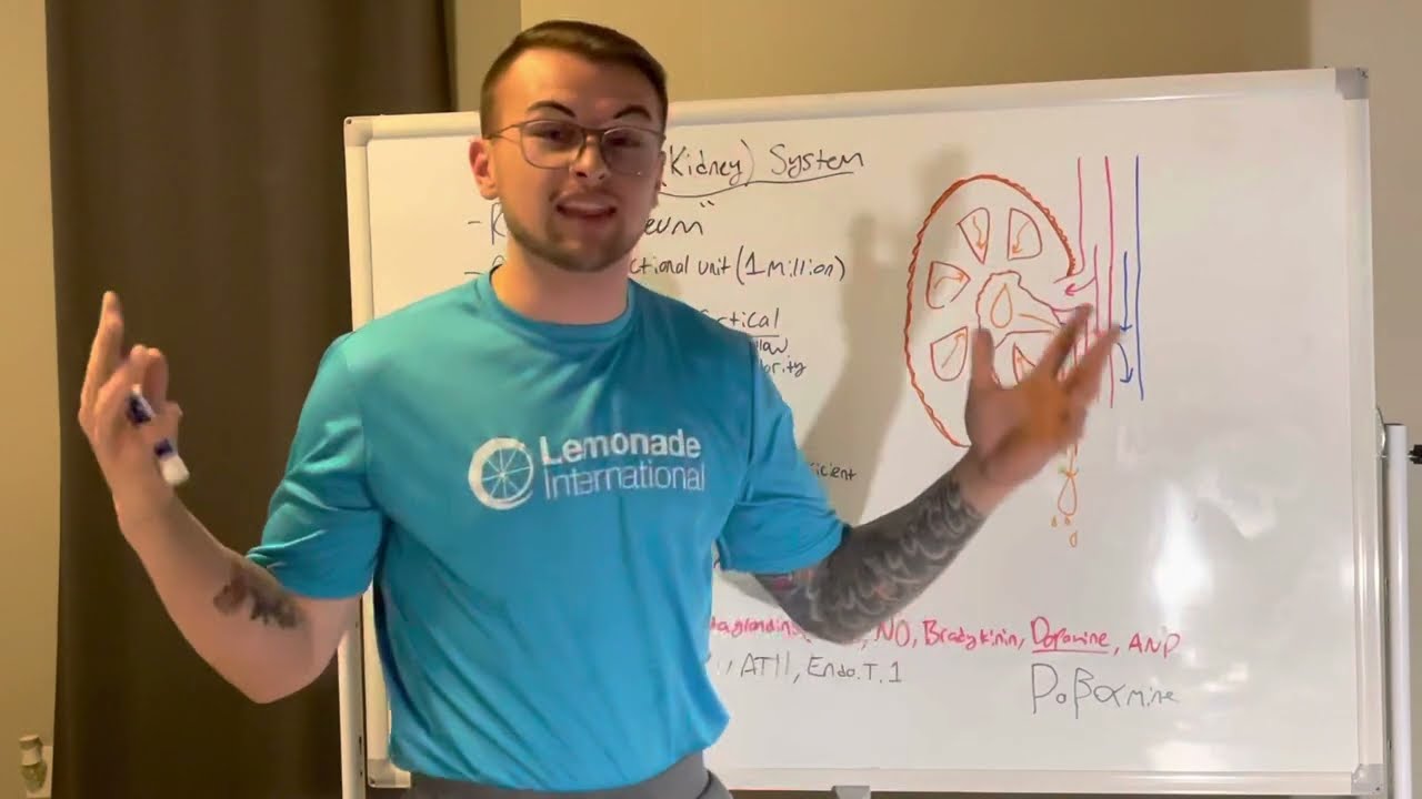NCLEX Prep: Renal “Need to know”