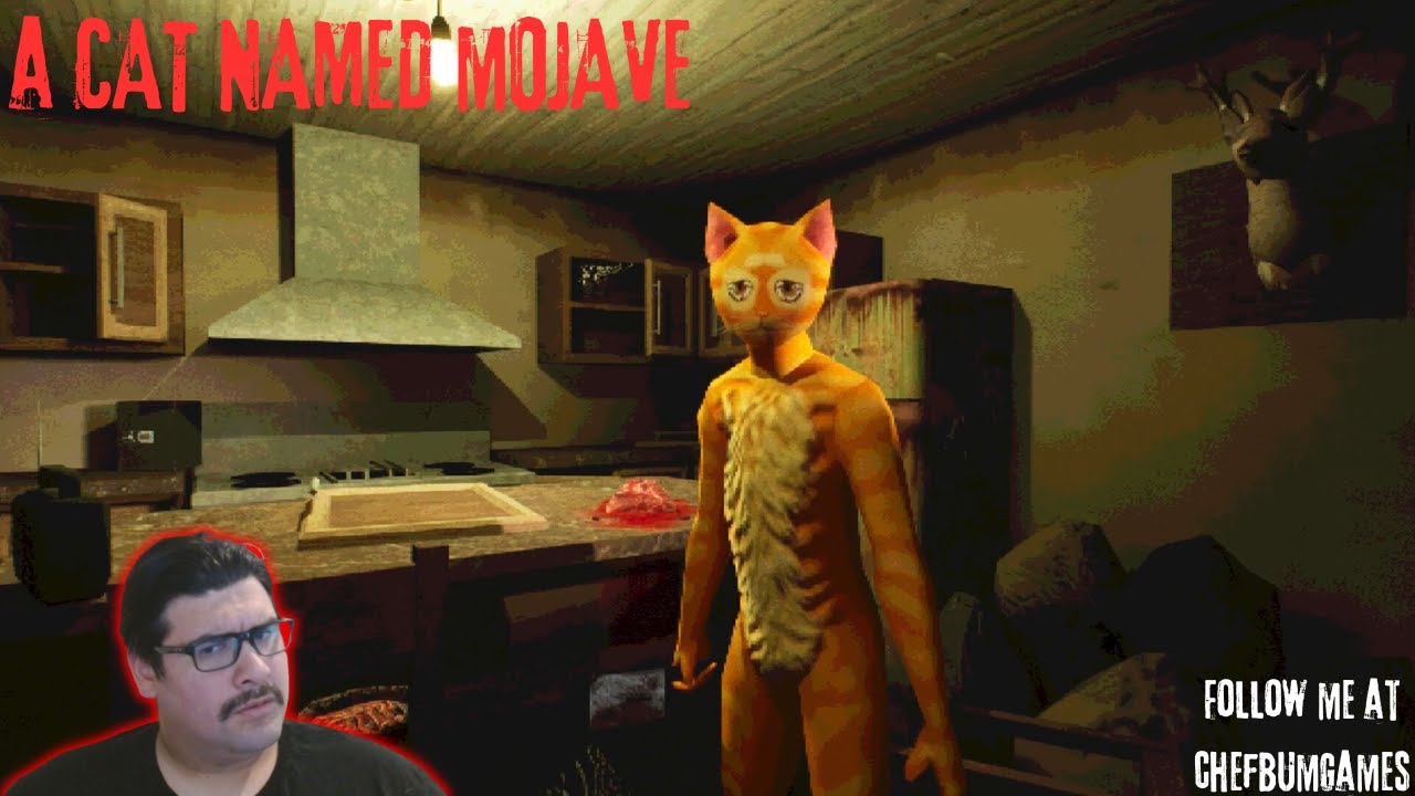 This cat made me do things.....| A Cat Named Mojave.