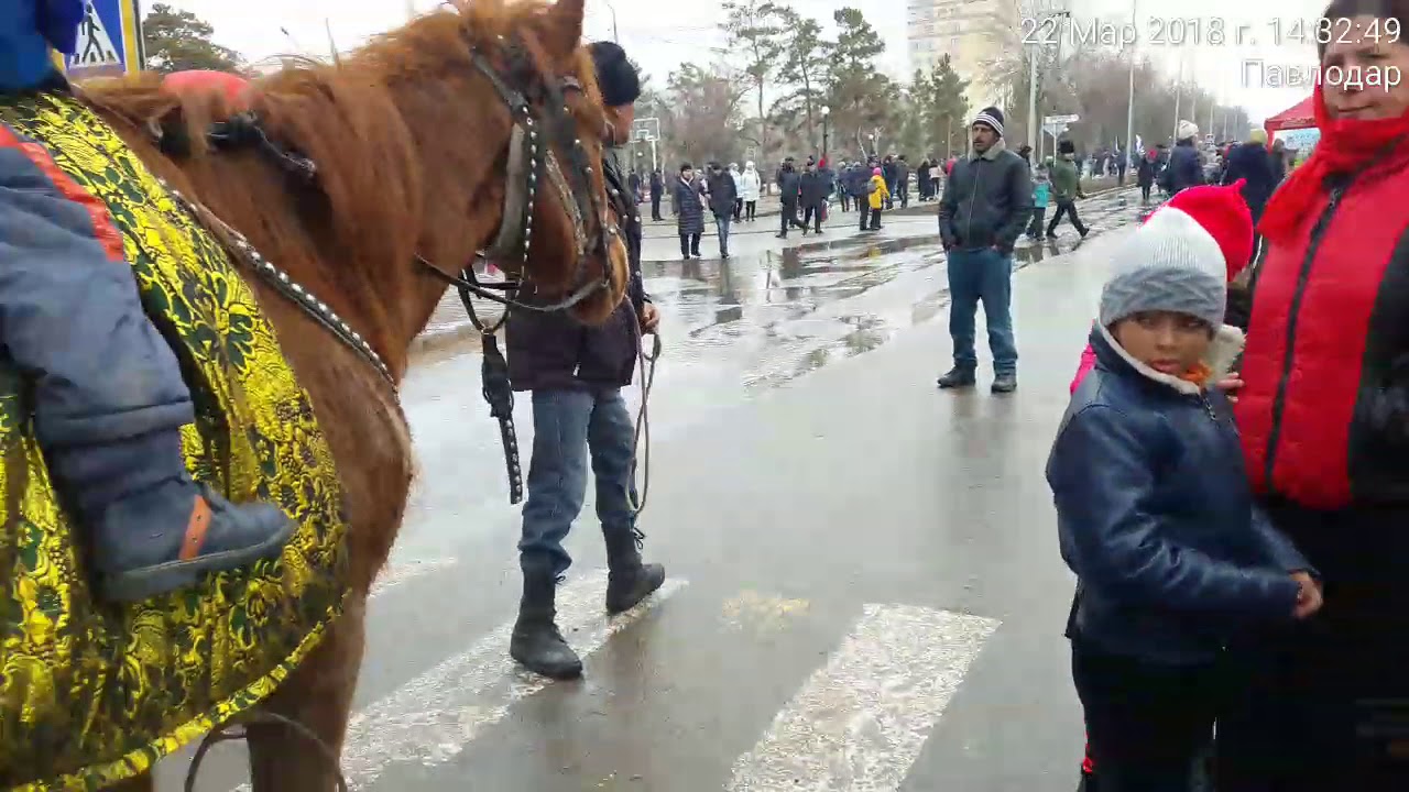 Ослики и лошади катали людей на Наурыз 2018.03.22 в Павлодаре.