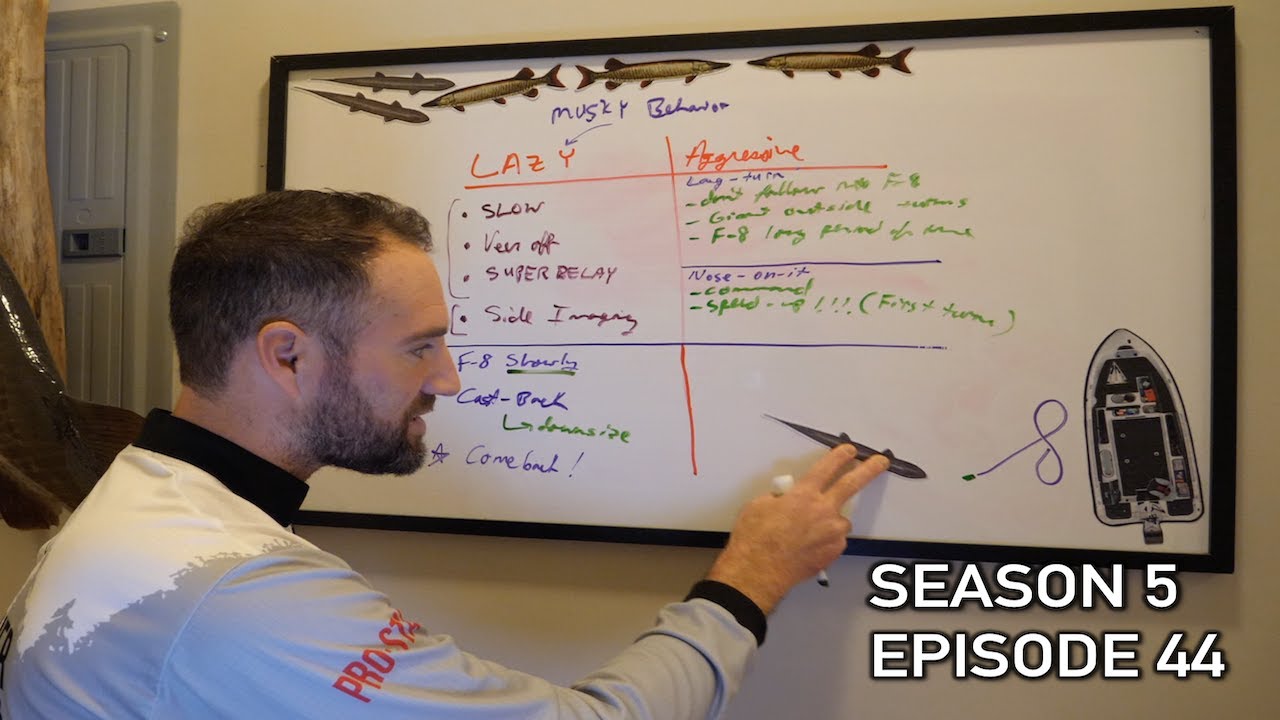 Reading Muskie Behavior and How to React! WHITEBOARD VLOG | S5.E44