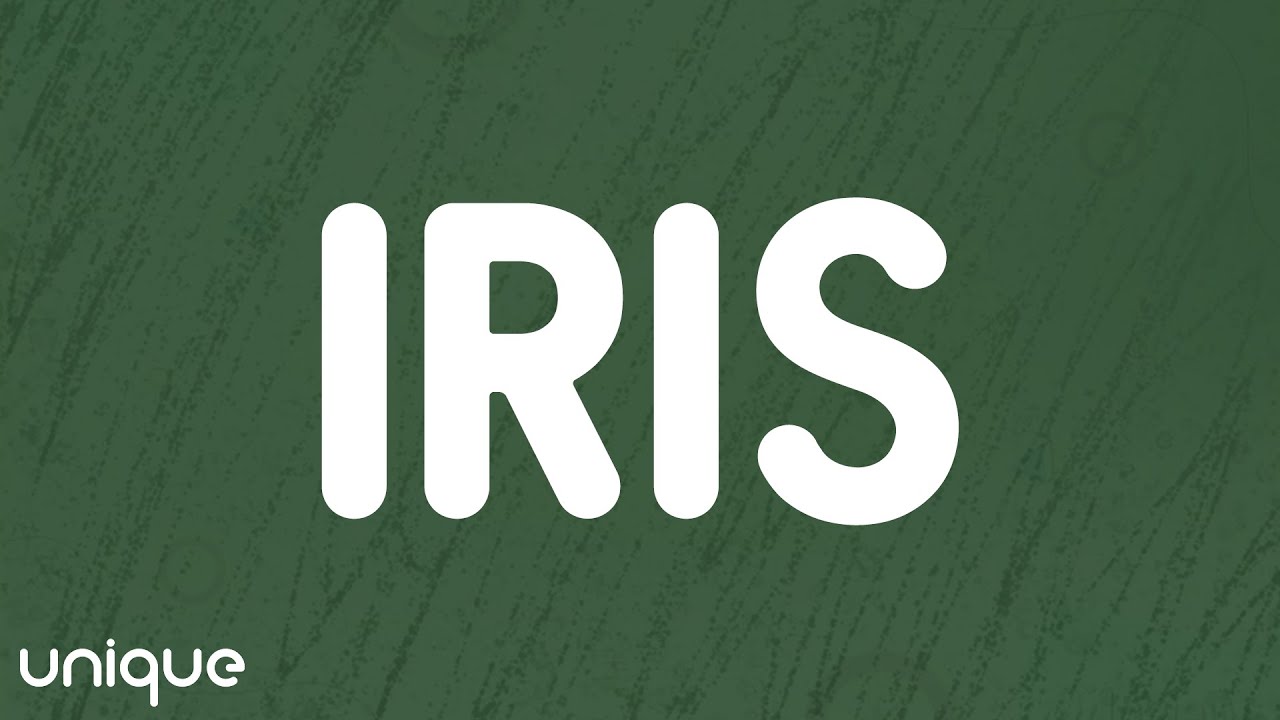 Goo Goo Dolls - Iris (Lyrics)