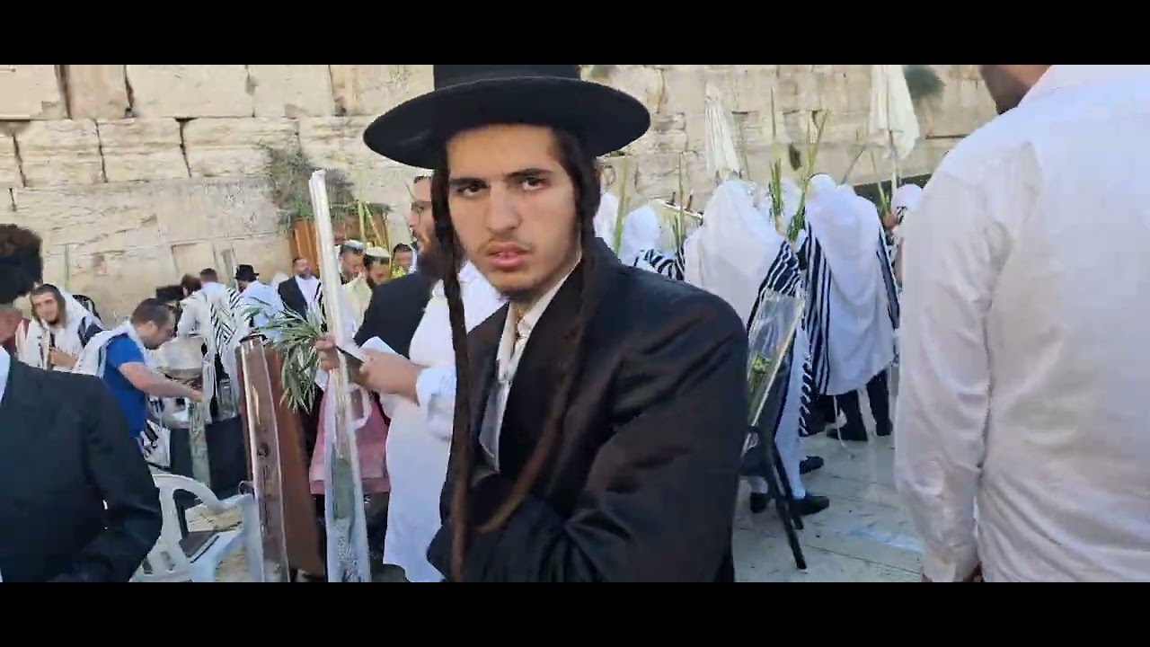 www.israel-properties.com
