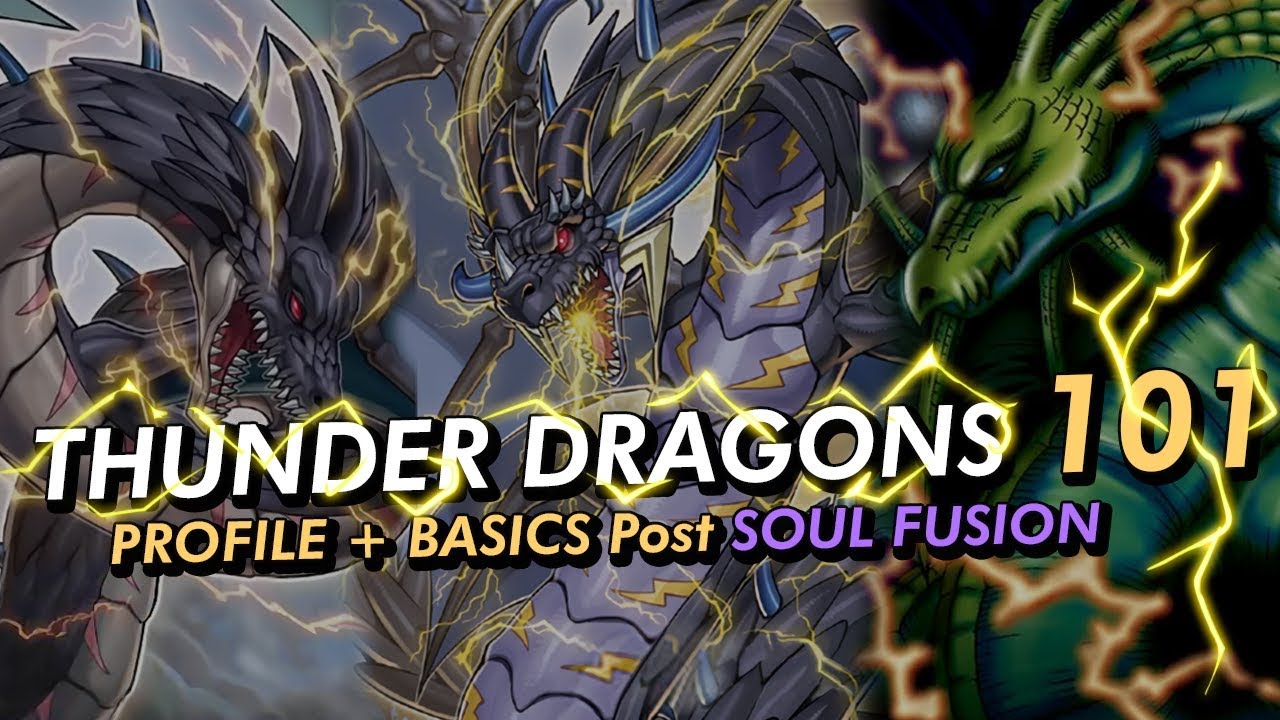 Thunder Dragons 101 Post SOUL Fusion Profile + All the Basics