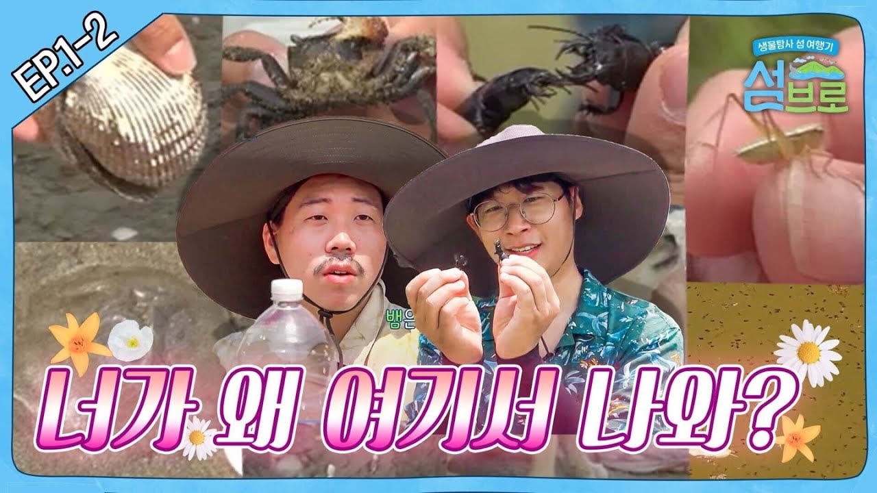 고립된 섬 탐사기 