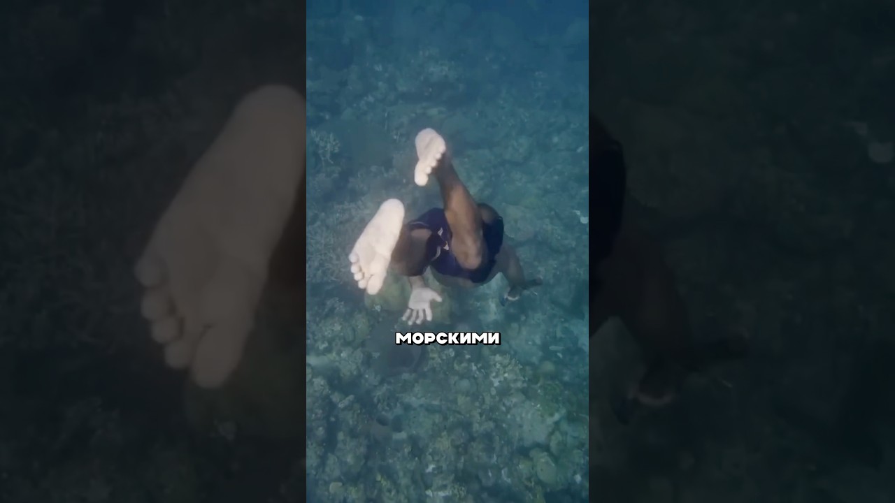 Баджо генетические адаптации #факты #наука #медицина #плавание #традиции #природа