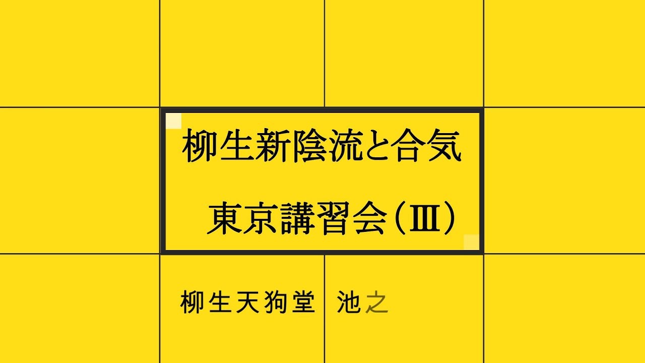 柳生新陰流　講習会Ⅲ　　岡本眞の合気柔術チャンネル　okamoto makoto