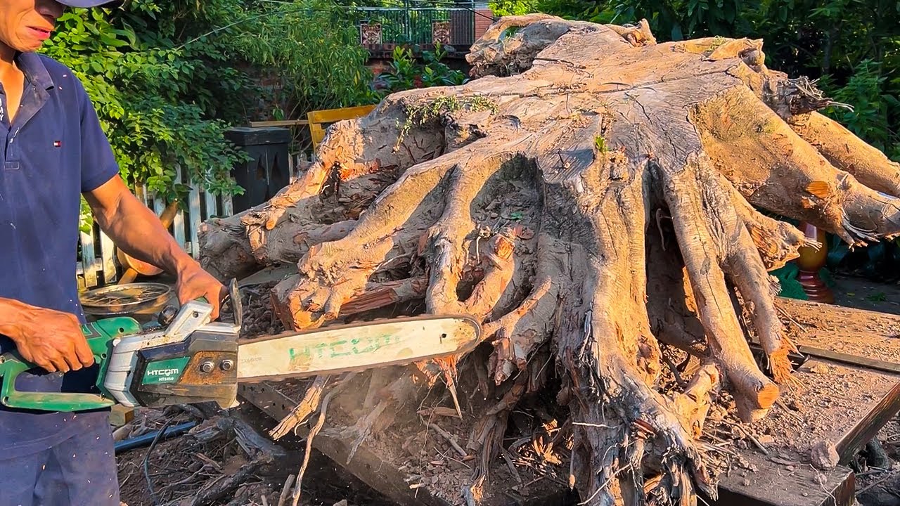 Create a Natural Root table from Scratch // DIY Rustic Root Table