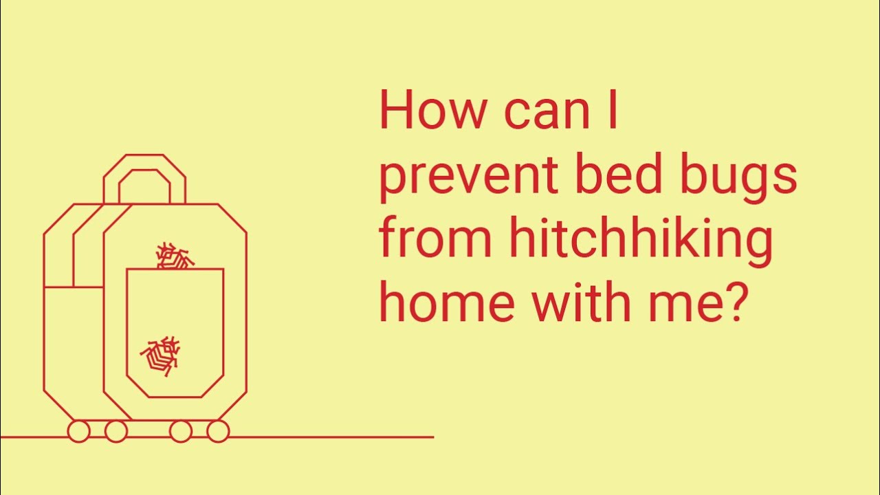 How Can I Prevent Bed Bugs from Hitchhiking into My Home?