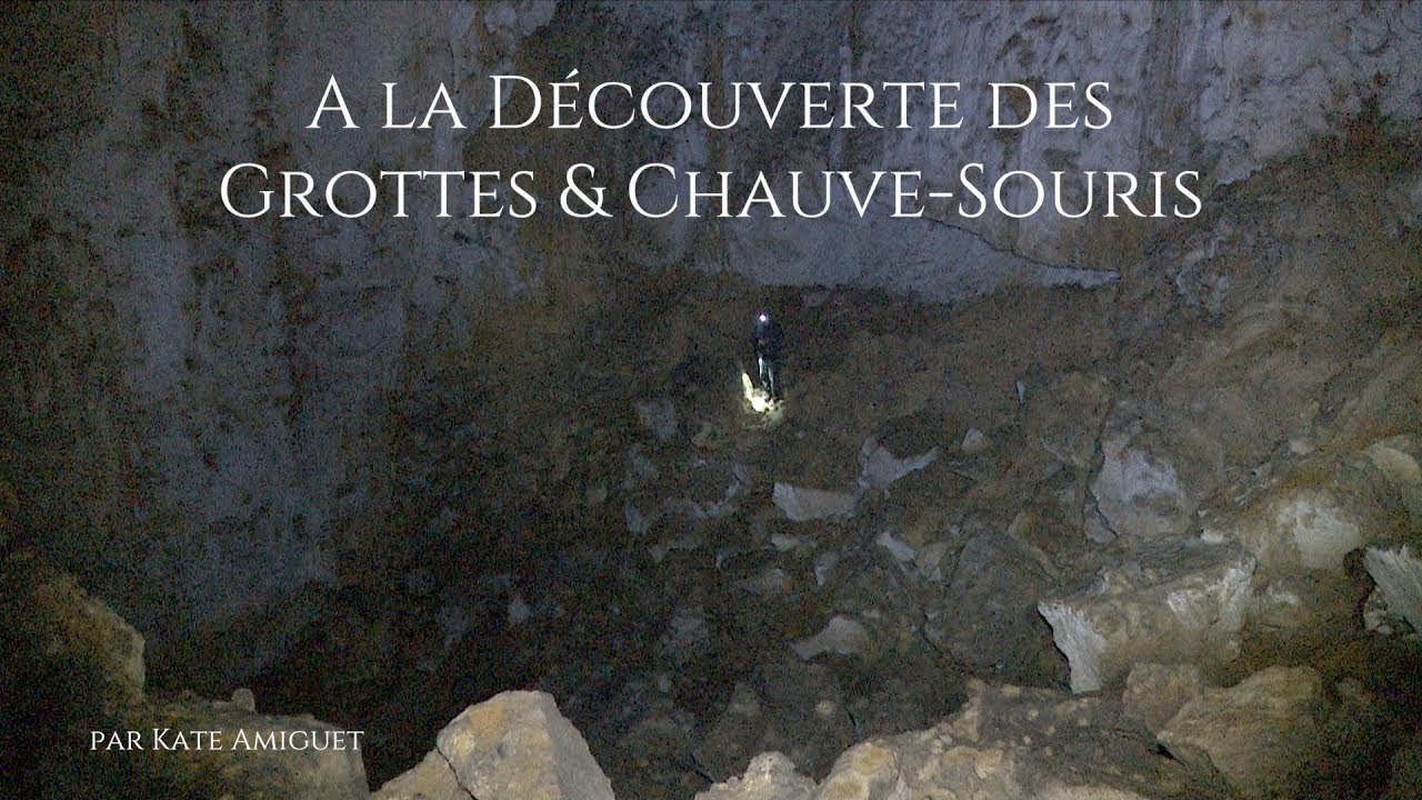 A la Découverte des Grottes et Chauve-Souris