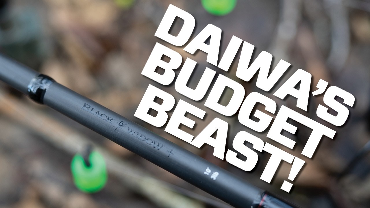 Это лучшие бюджетные карповые удилища? Daiwa Black Widow+!