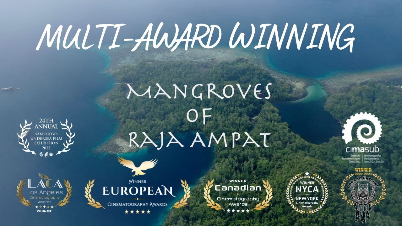 Multi-award-winning: Mangroves of Raja Ampat | 2023 4K